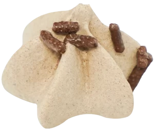 Chocolate 600