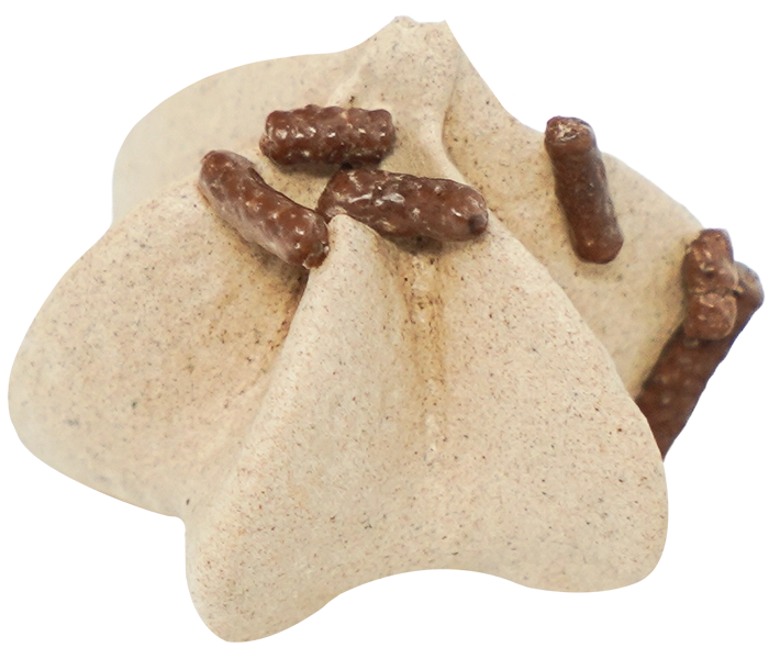 Chocolate 600