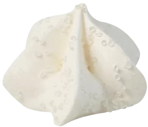 Vanilla 600